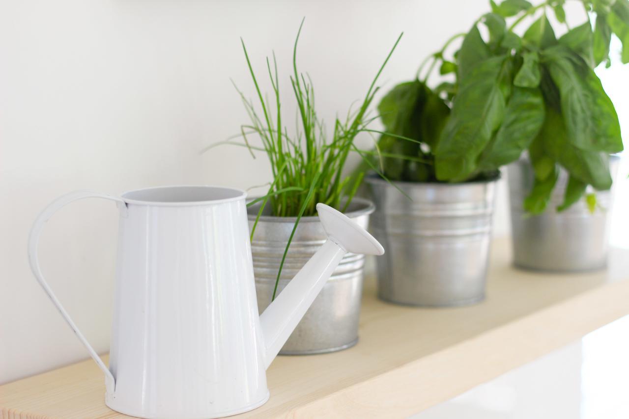 Eco Boutique Hotel Ams Beagle Μπλεντ Εξωτερικό φωτογραφία